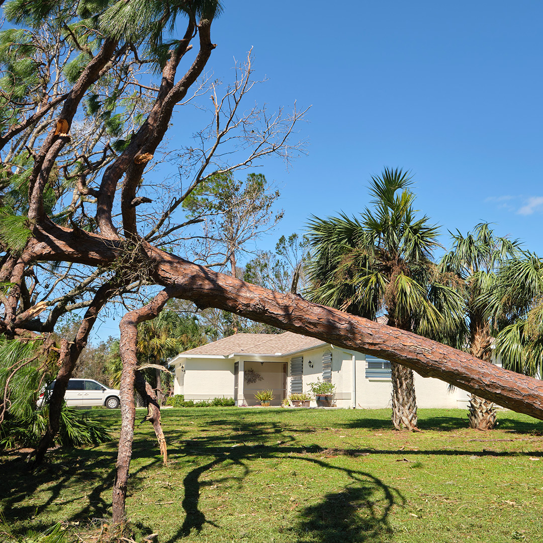 florida storm protection in lakeland FL