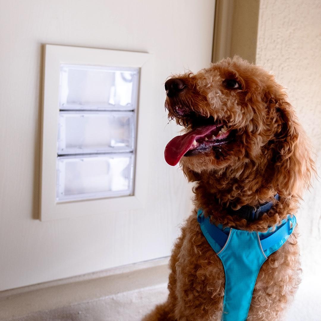 Guard Dog Pet Doors in Bradenton, FL